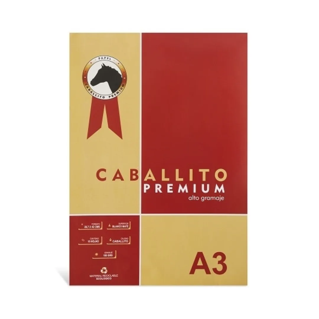 Block A3 Caballito 10 hojas