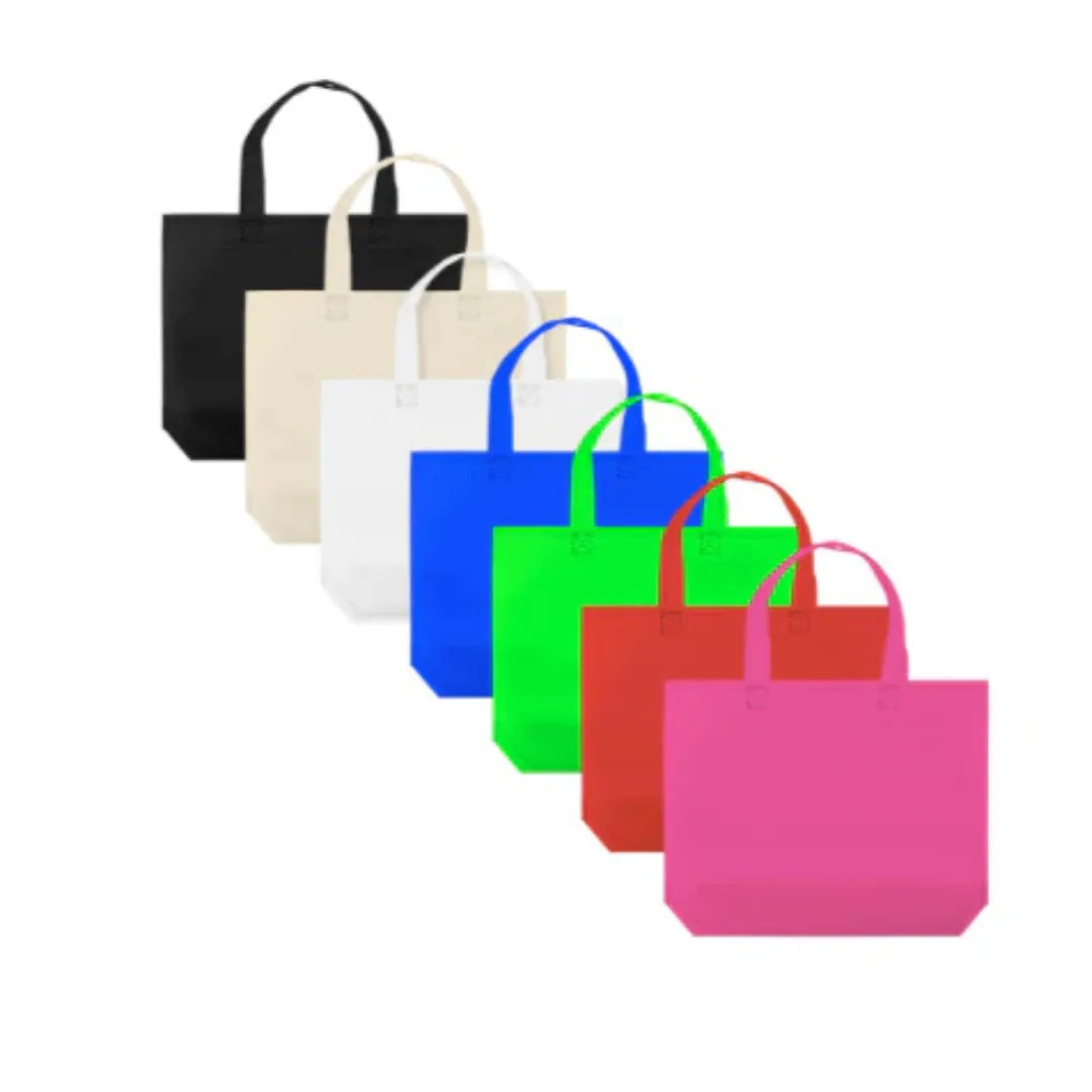 Bolsa de TNT Grande - Lisas