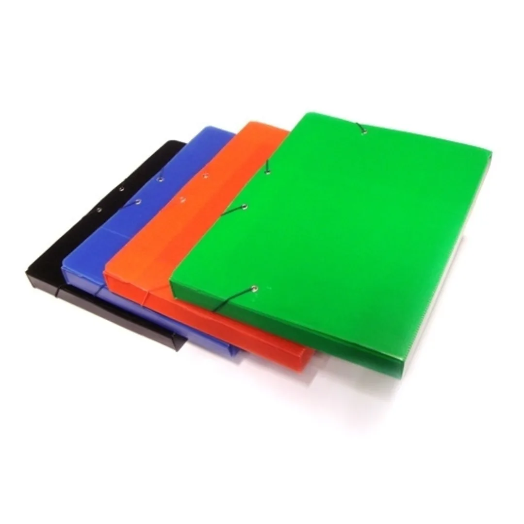 Carpeta Plastica A4 - Lomo 5cm