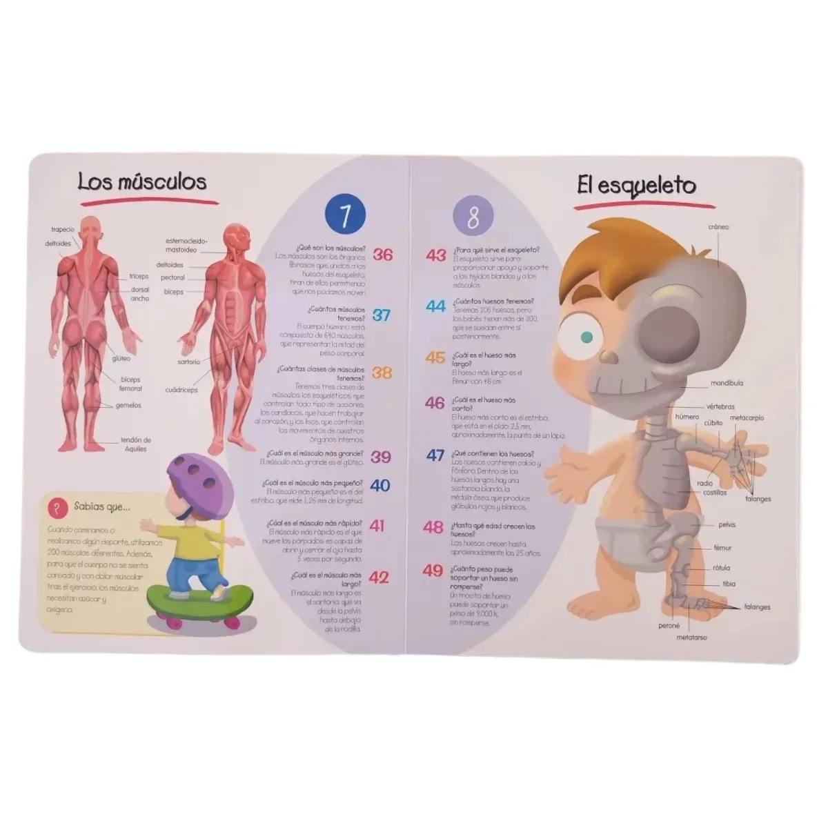 Libro 100 Preguntas y Respuestas - El Cuerpo Humano