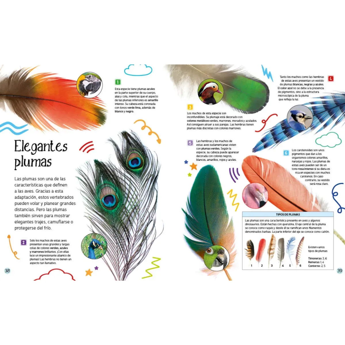 Libro Descubre el Reino Animal
