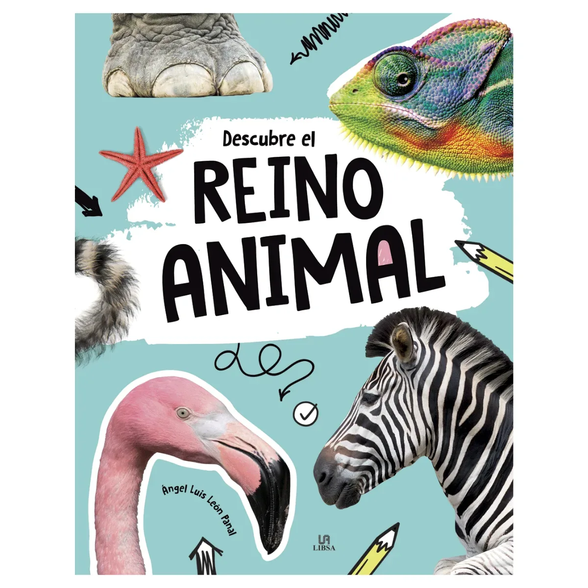 Libro Descubre el Reino Animal