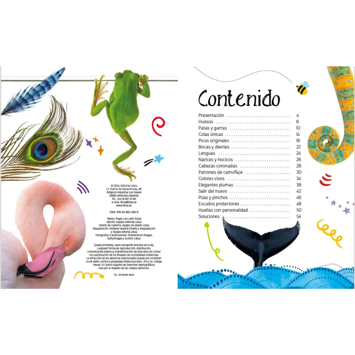 Libro Descubre el Reino Animal