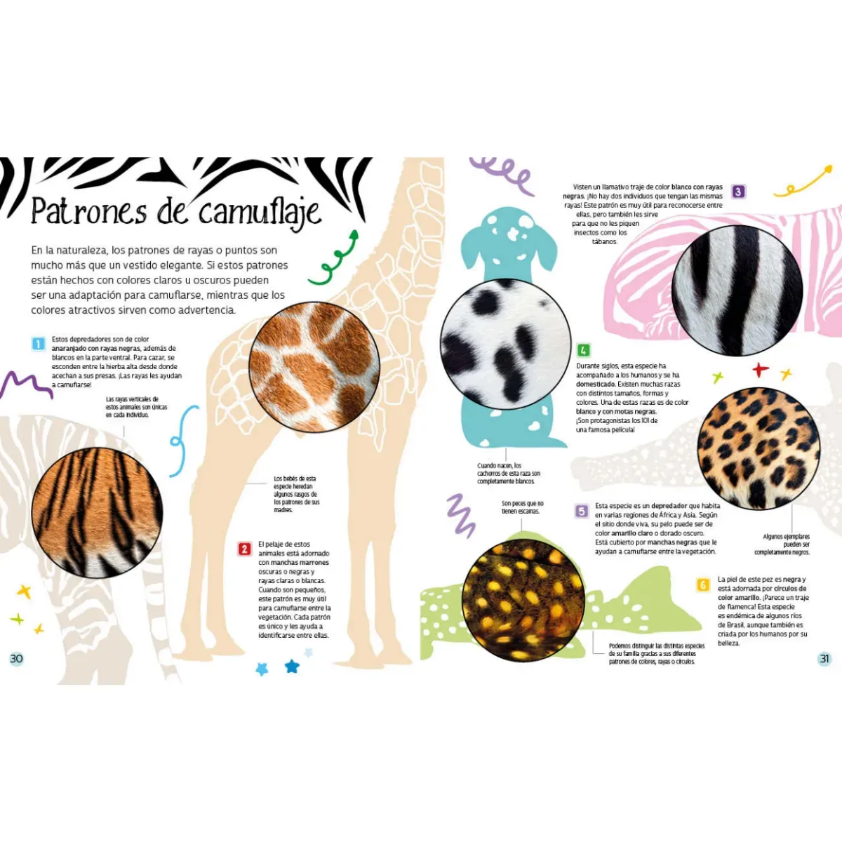 Libro Descubre el Reino Animal