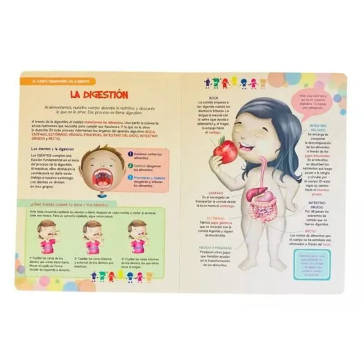 Libro los peques descubrimos Nuestro Cuerpo