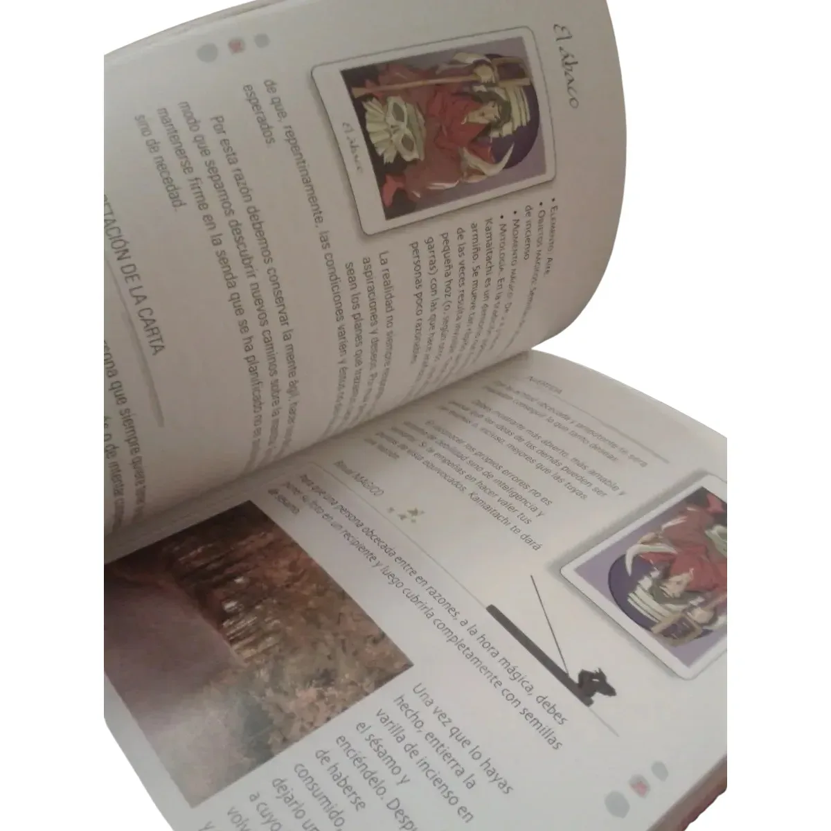 Libro con 42 Cartas - Ritos y Adivinaciones Manga