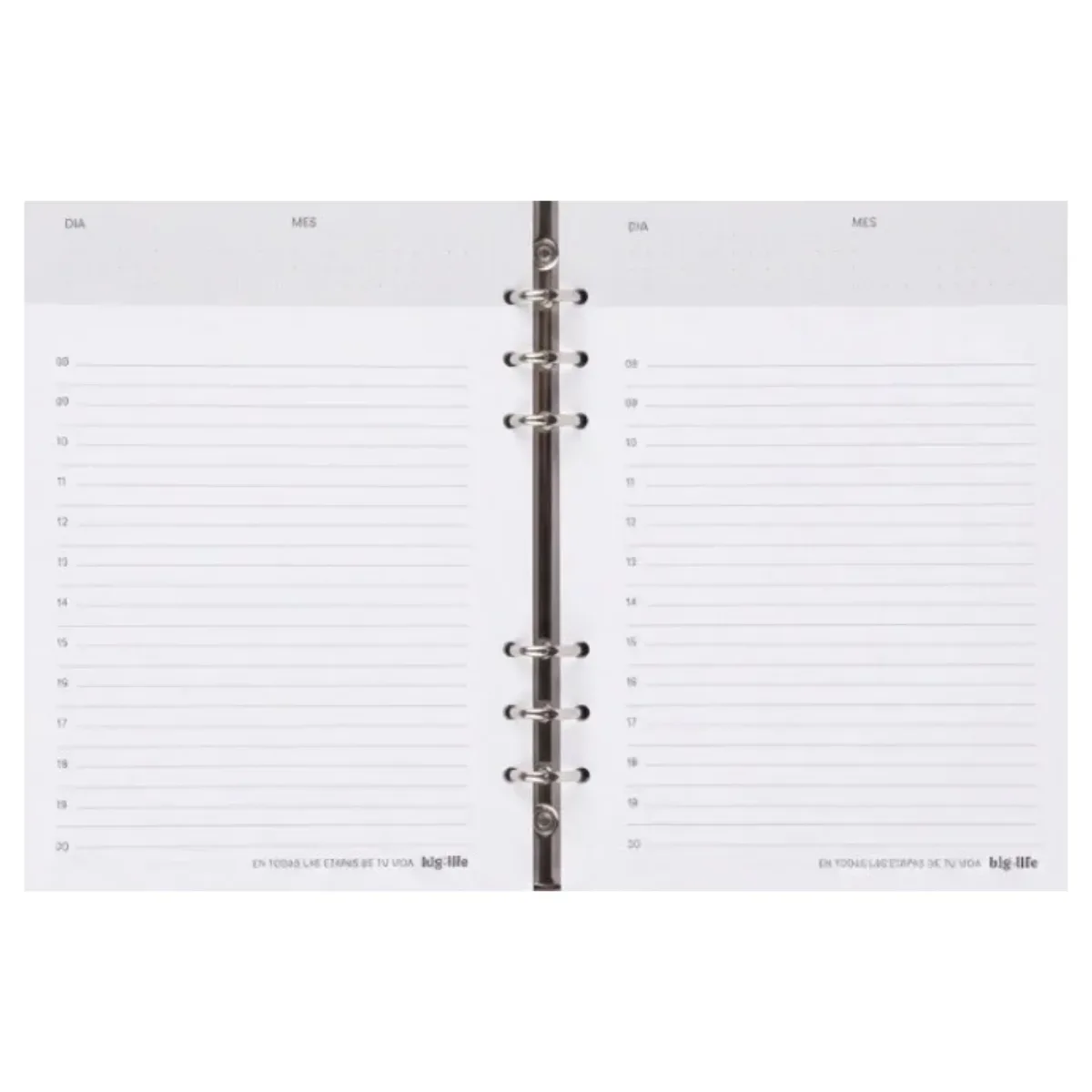 Agenda Perpetua Rosa - Planner Puffer