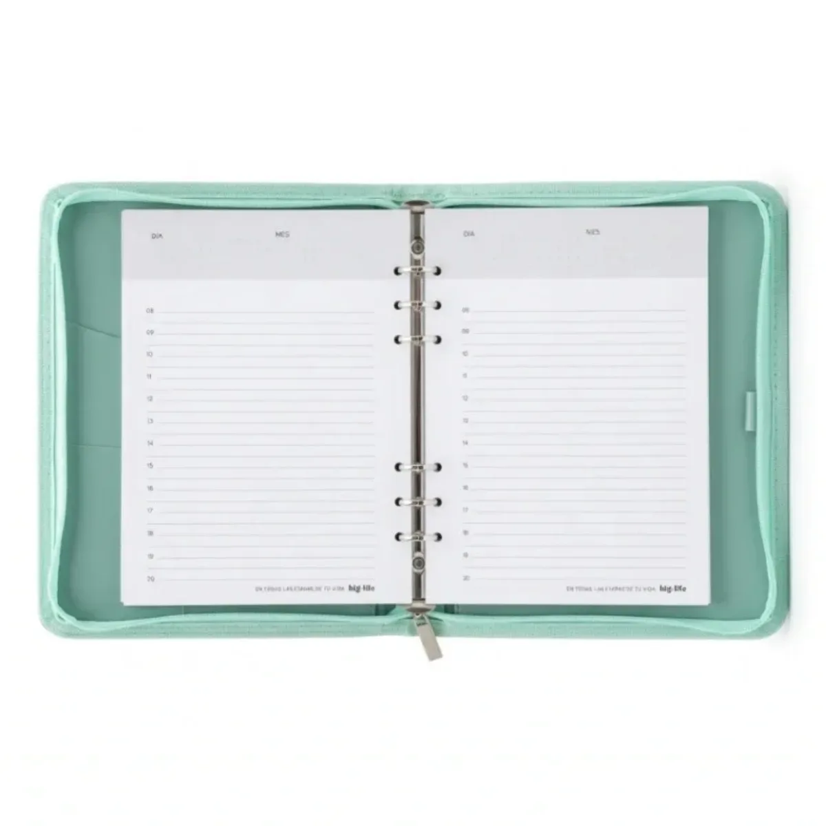 Agenda Perpetua Verde - Planner Puffer