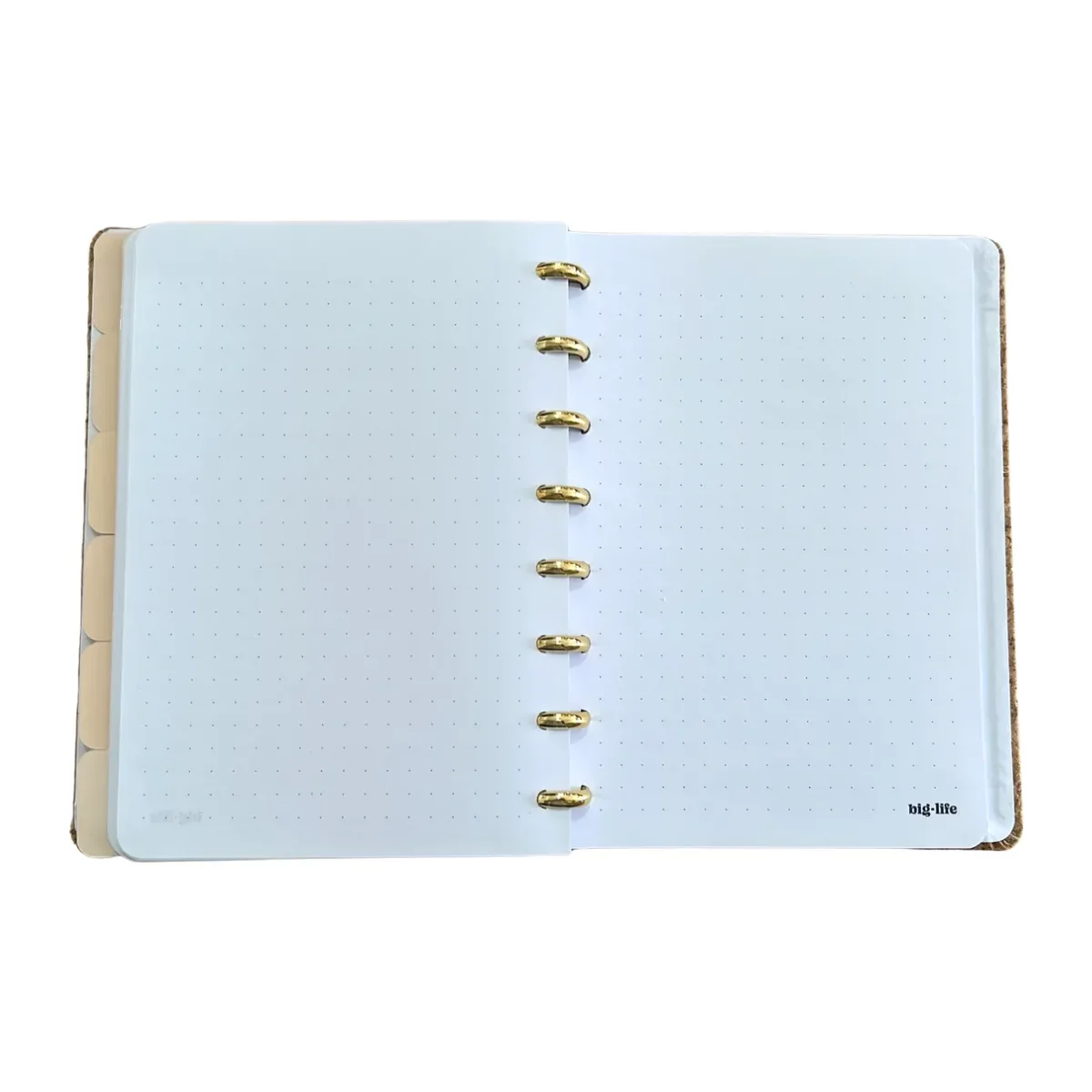 Planner Perpetuo - Sistema de Discos 