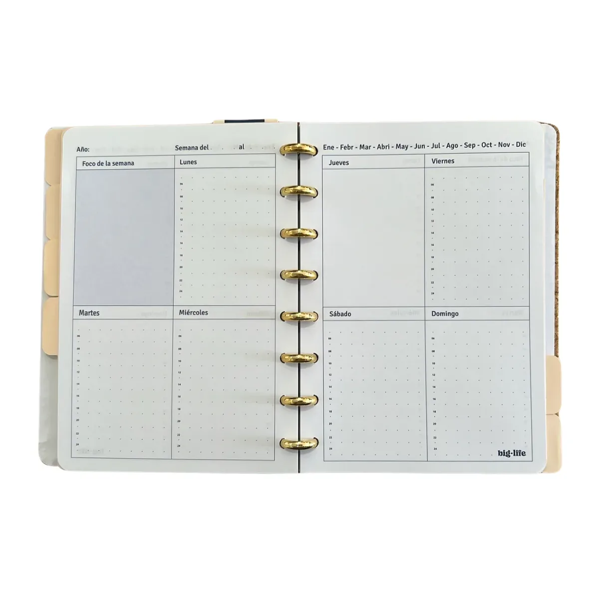 Planner Perpetuo - Sistema de Discos 
