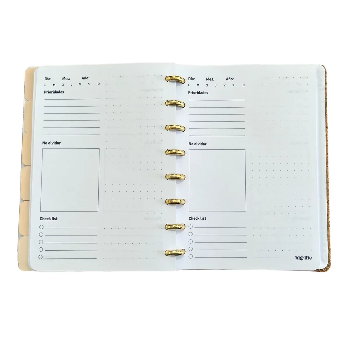 Planner Perpetuo - Sistema de Discos