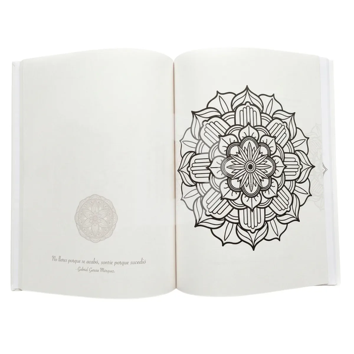 Gran Libro de Colorear Mandalas