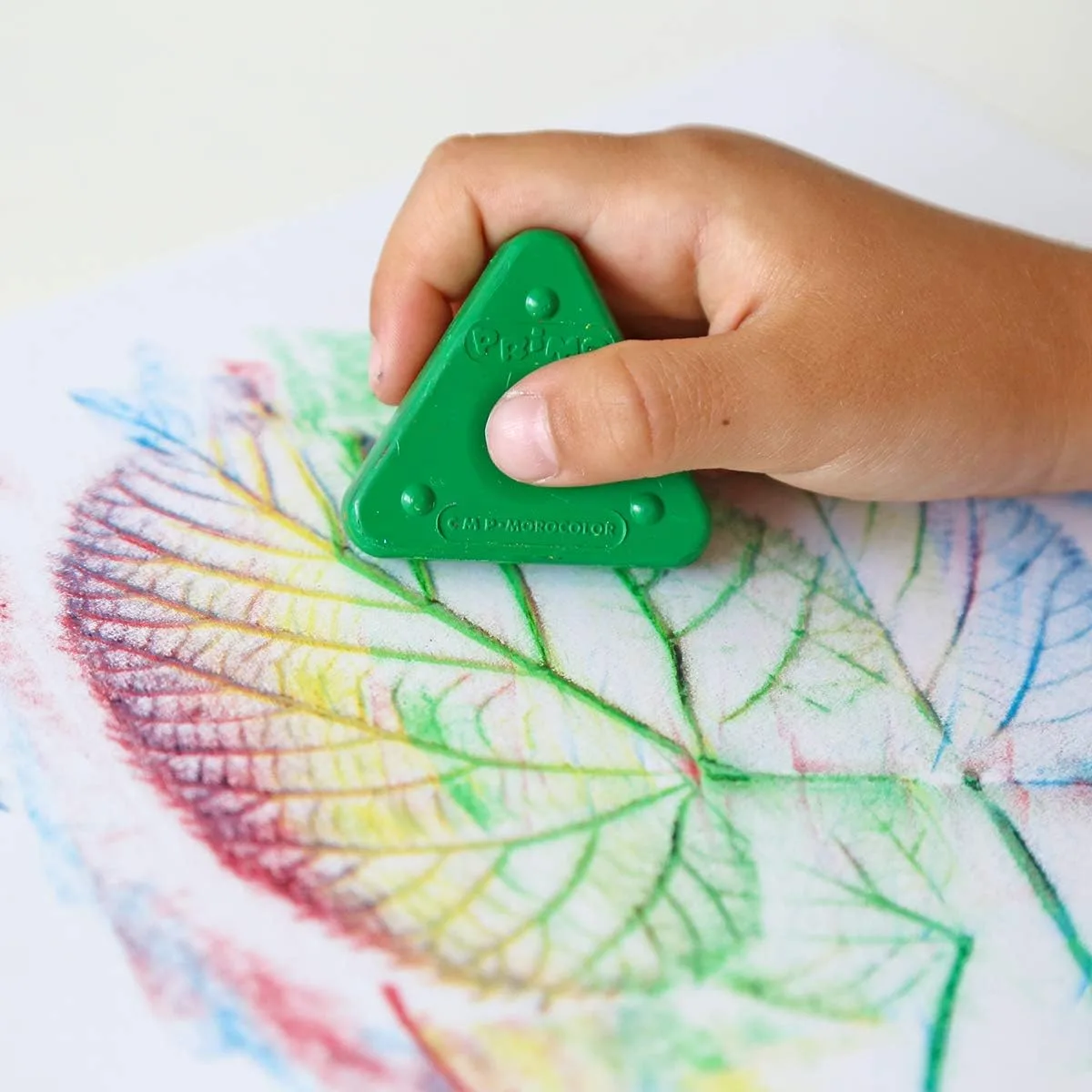 Crayones triangulares de cera x30 - Primo 4