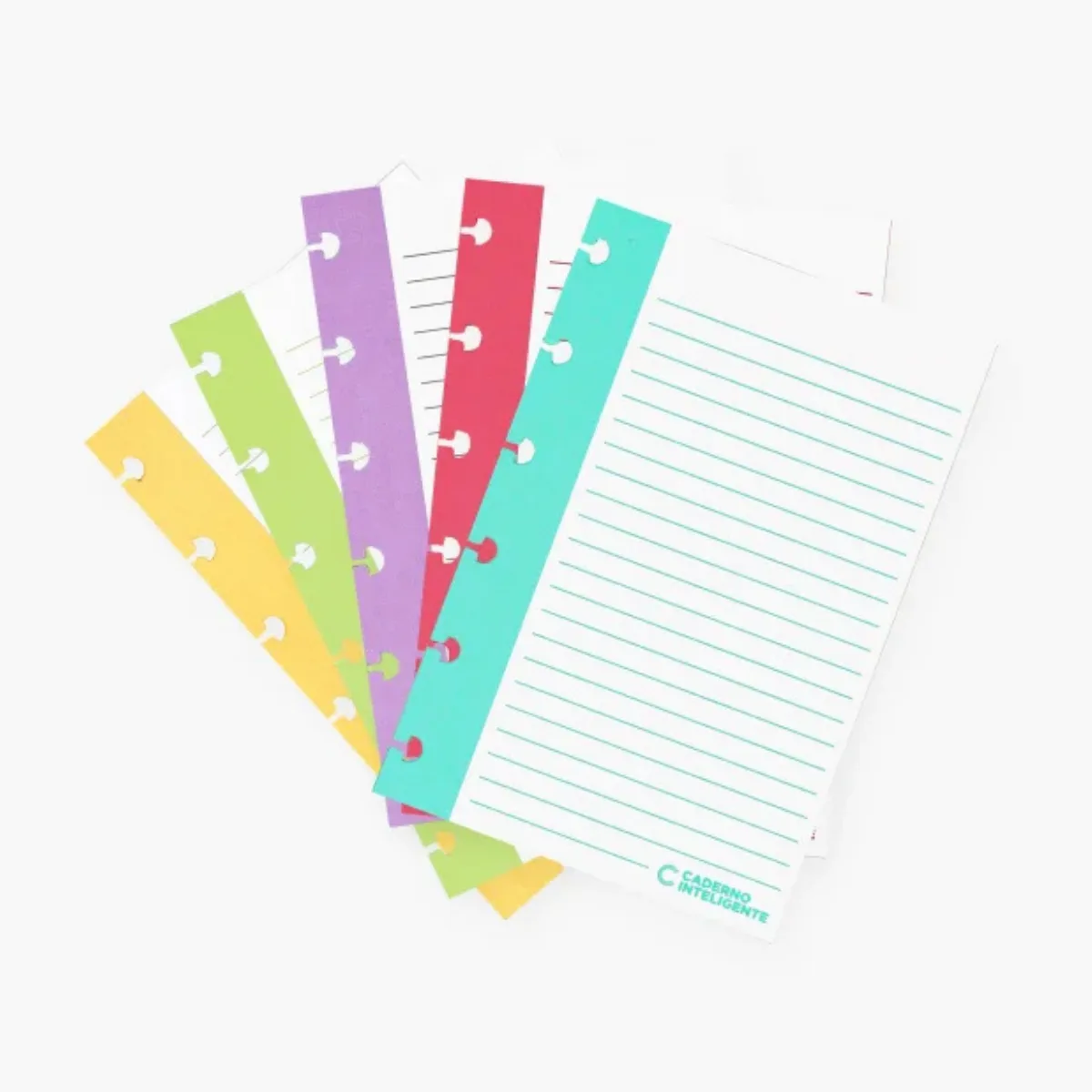 Fichas de estudio para Cuaderno Inteligente