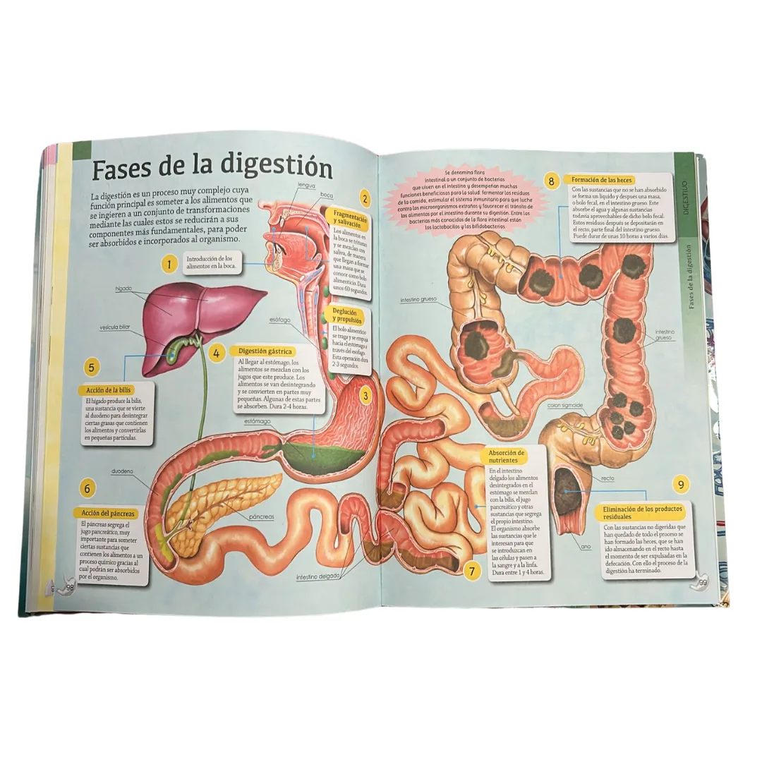 Gran Libro del Cuerpo Humano