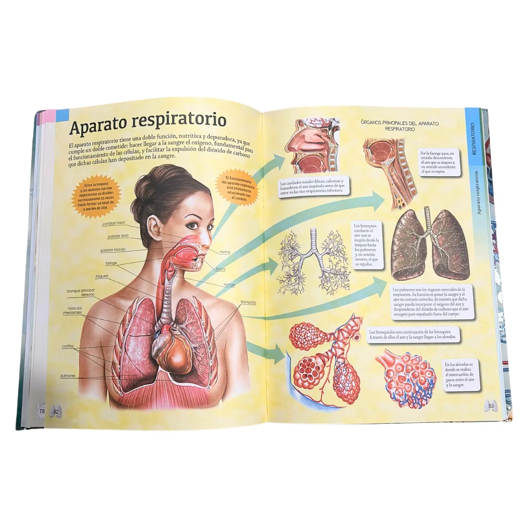 Gran Libro del Cuerpo Humano 3
