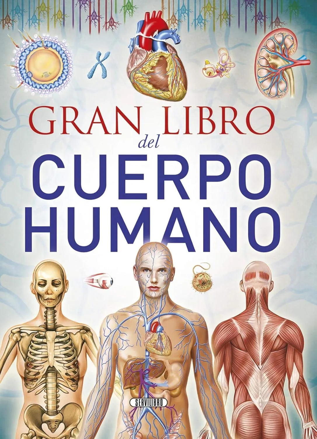 Gran Libro del Cuerpo Humano