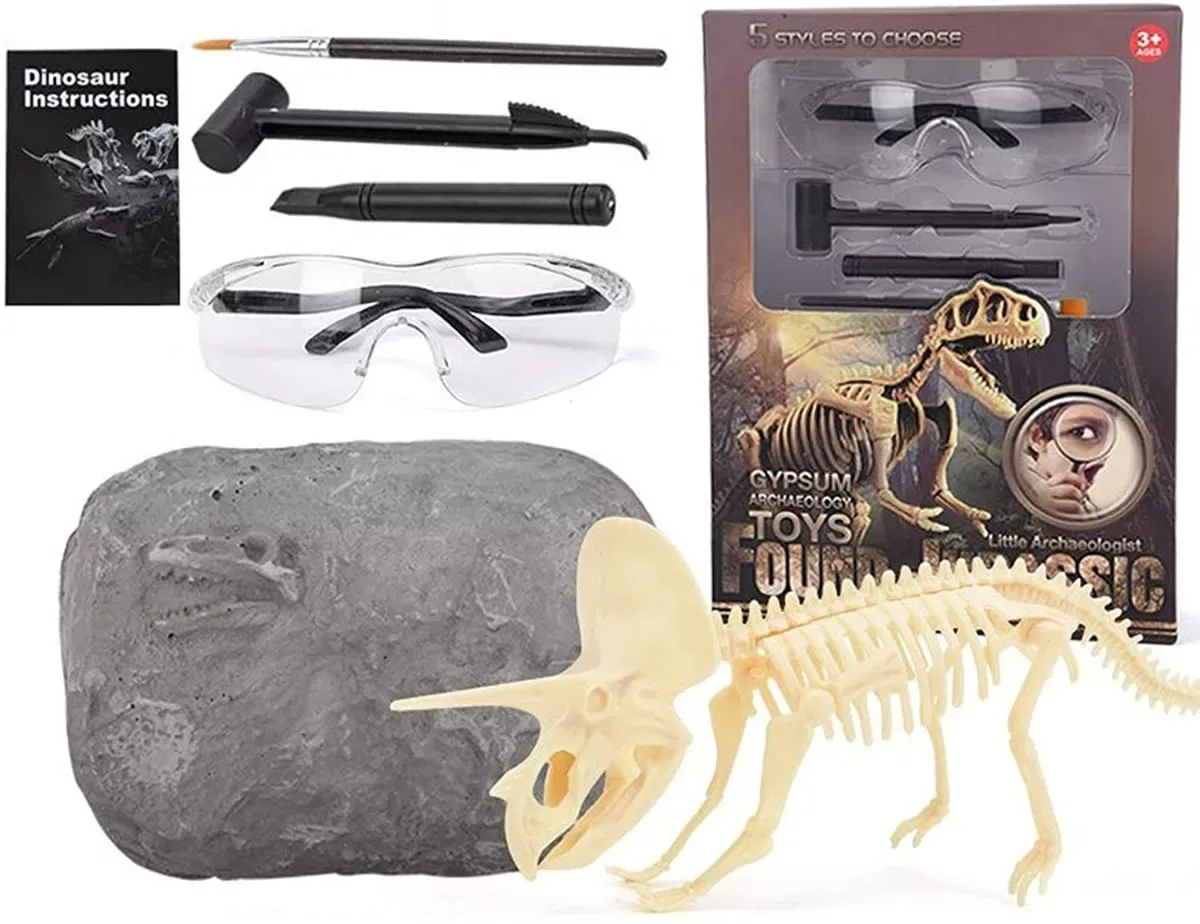 Juego de Arqueologia con Lentes