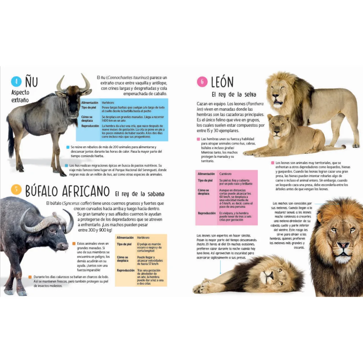 Libro 101 Animales 4