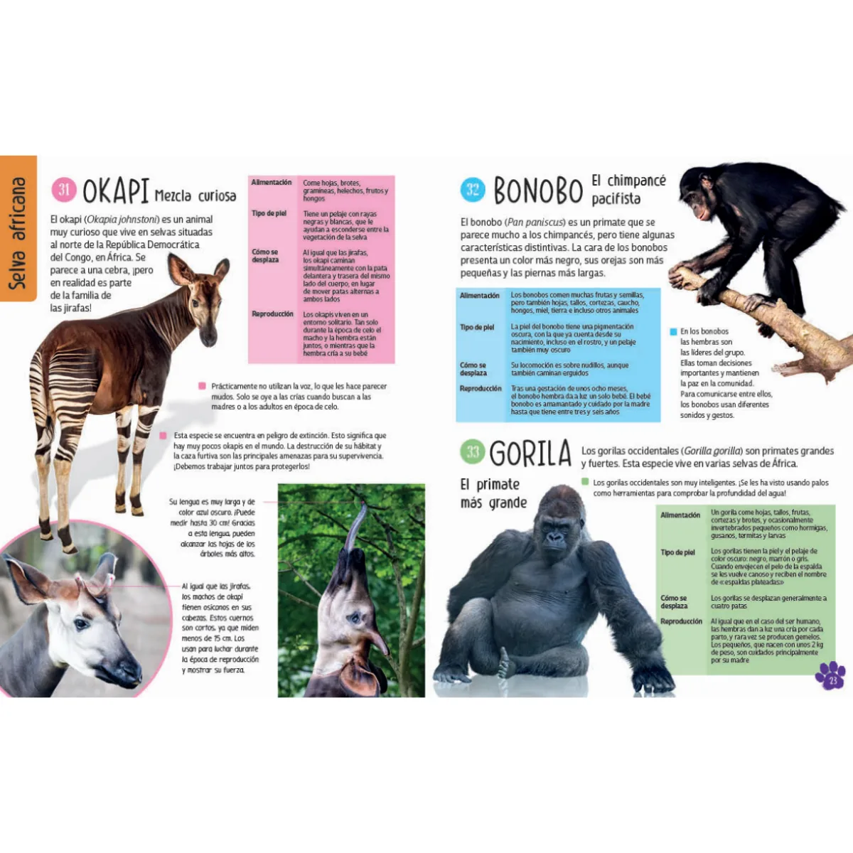 Libro 101 Animales 3