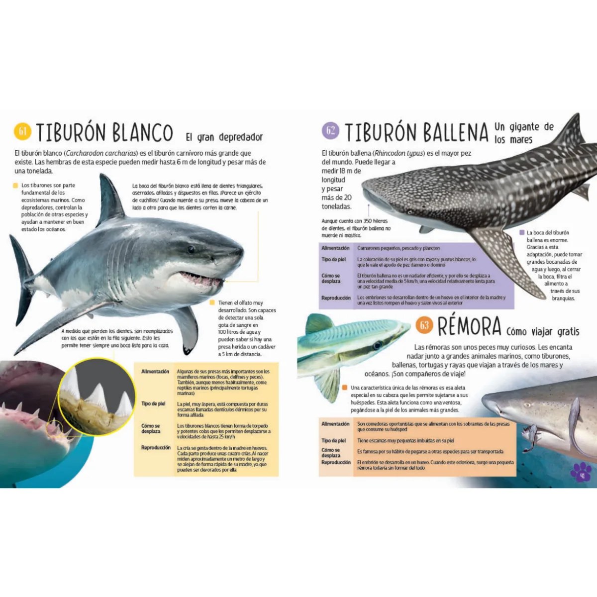 Libro 101 Animales 5