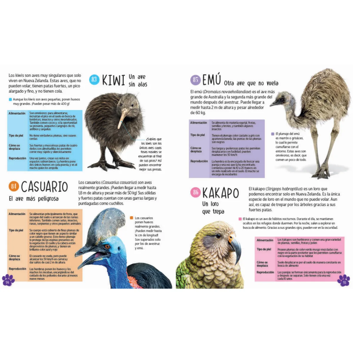 Libro 101 Animales 6