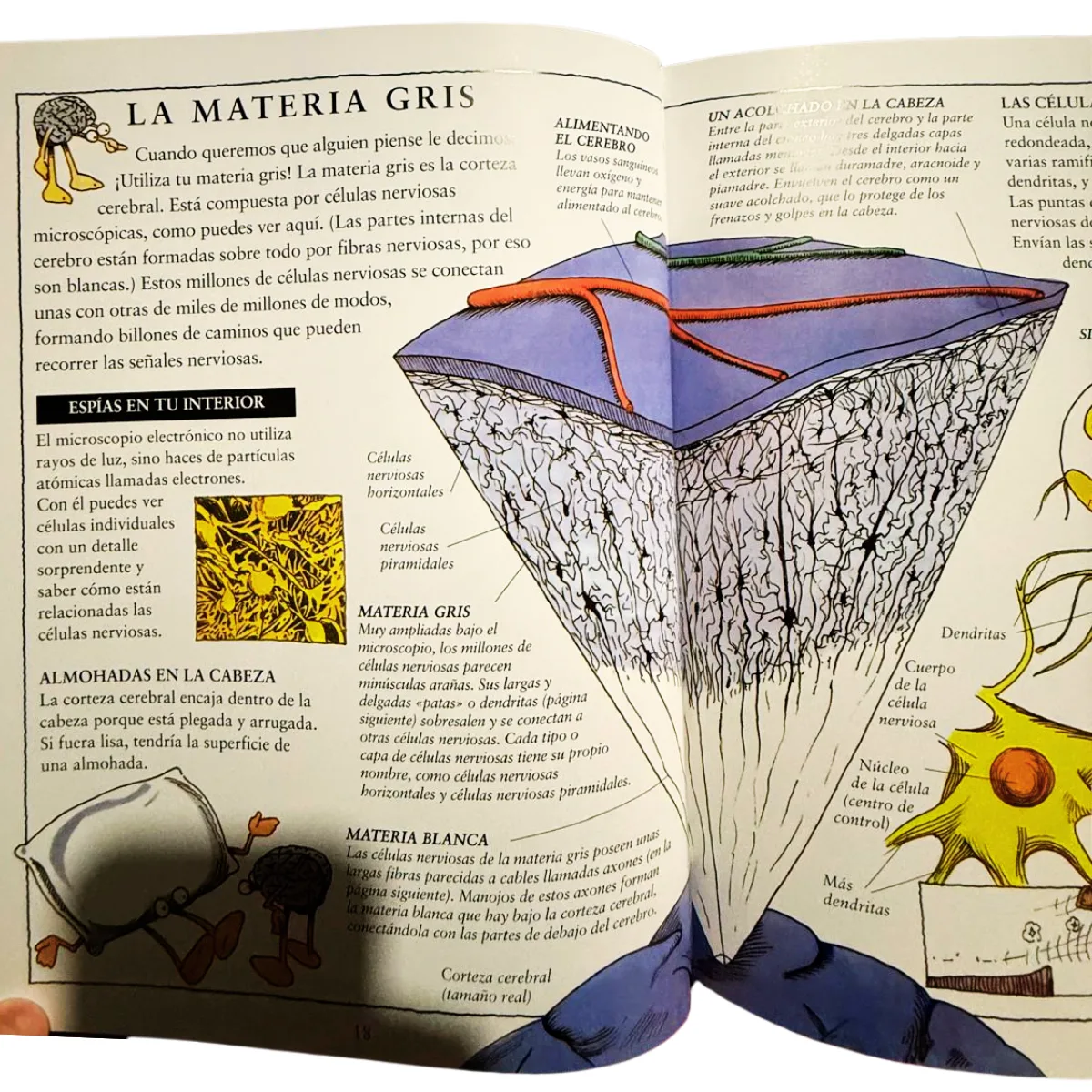 Libro Cirugia del Cerebro 3