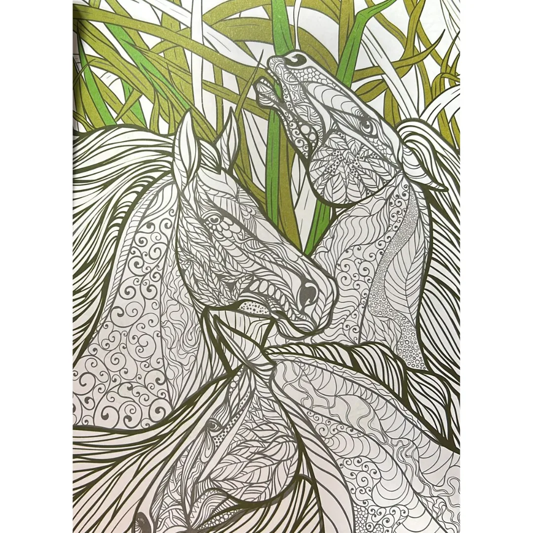 Libro Coloreando Naturaleza
