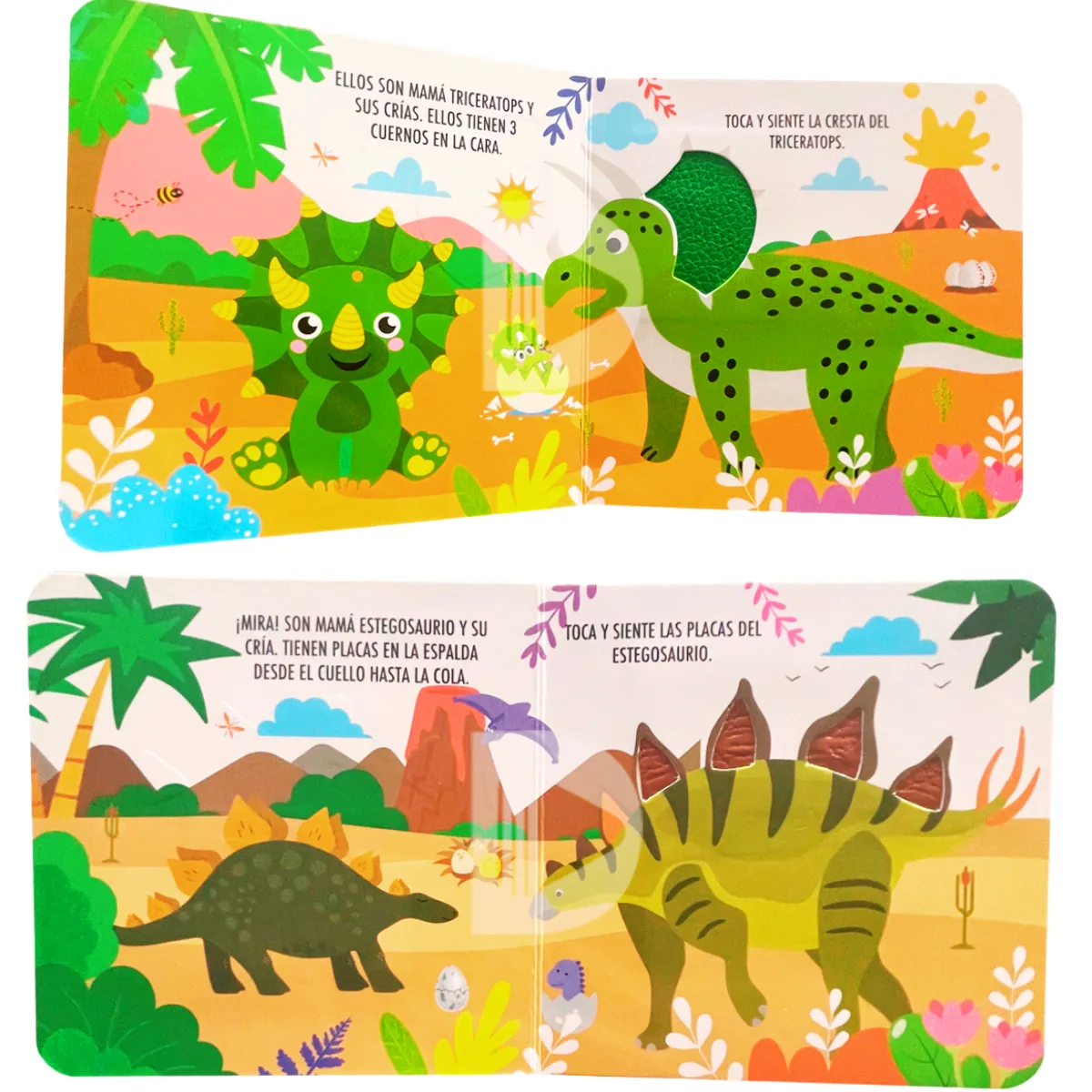 Libro con Texturas