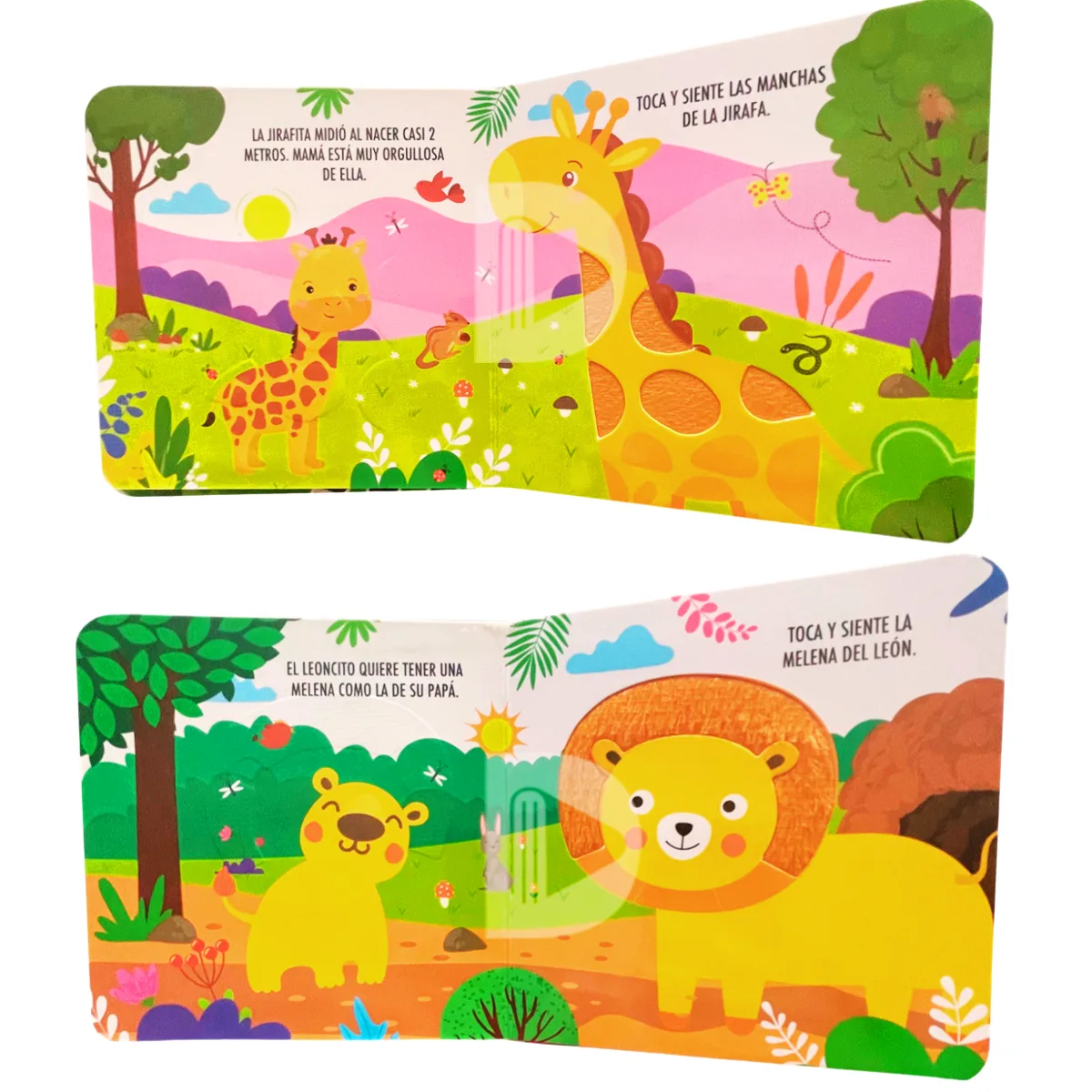 Libro con Texturas