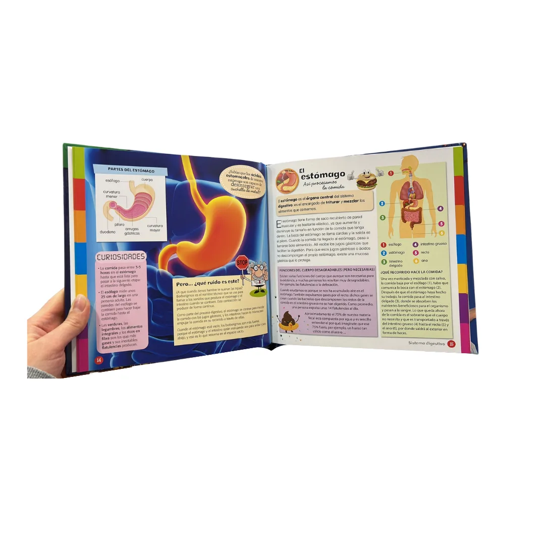 Libro Conoce El Cuerpo Humano 3