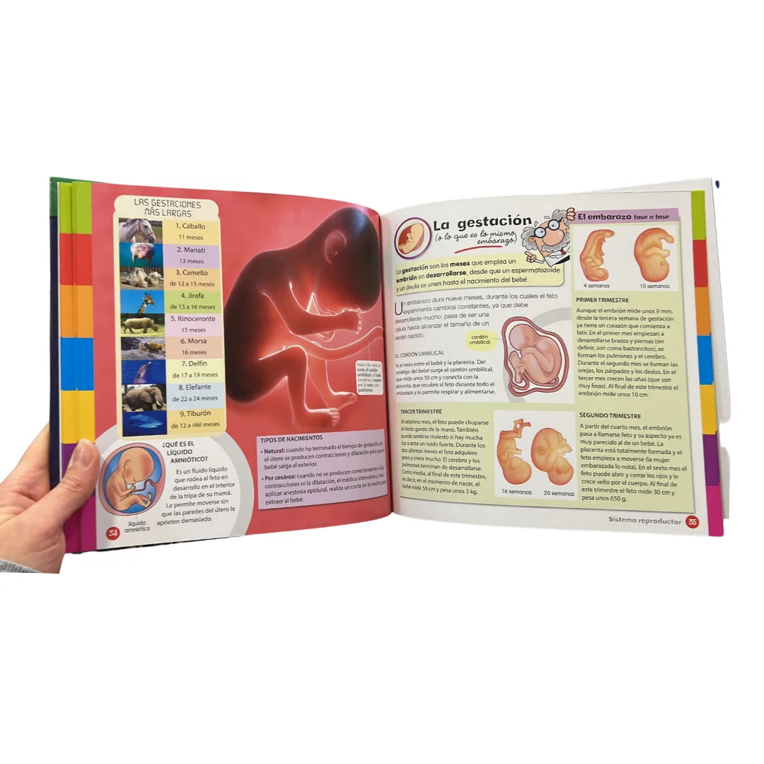 Libro Conoce El Cuerpo Humano 2
