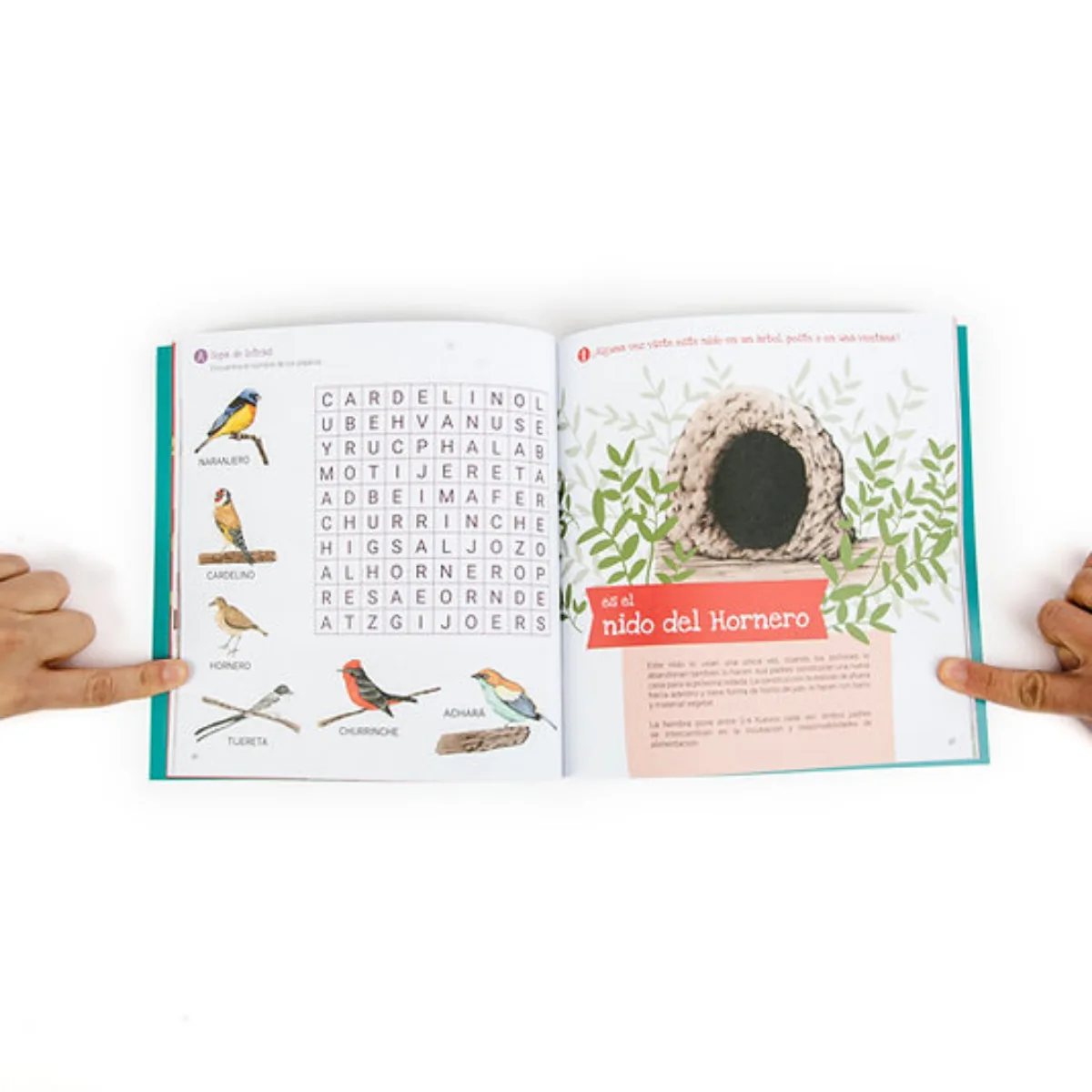 Libro Conociendo la Flora y Fauna de Uruguay - Pika