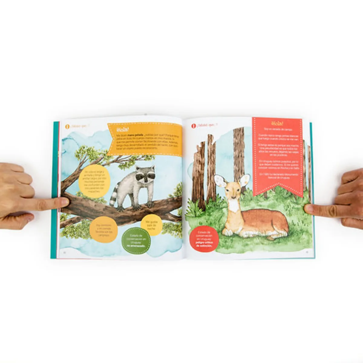 Libro Conociendo la Flora y Fauna de Uruguay - Pika 3