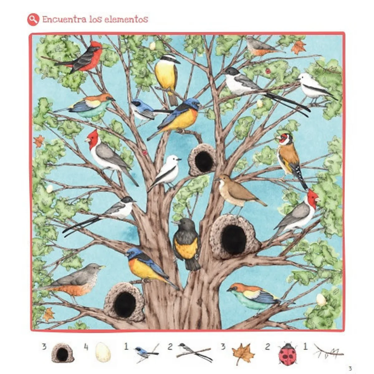 Libro Conociendo la Flora y Fauna de Uruguay - Pika 4