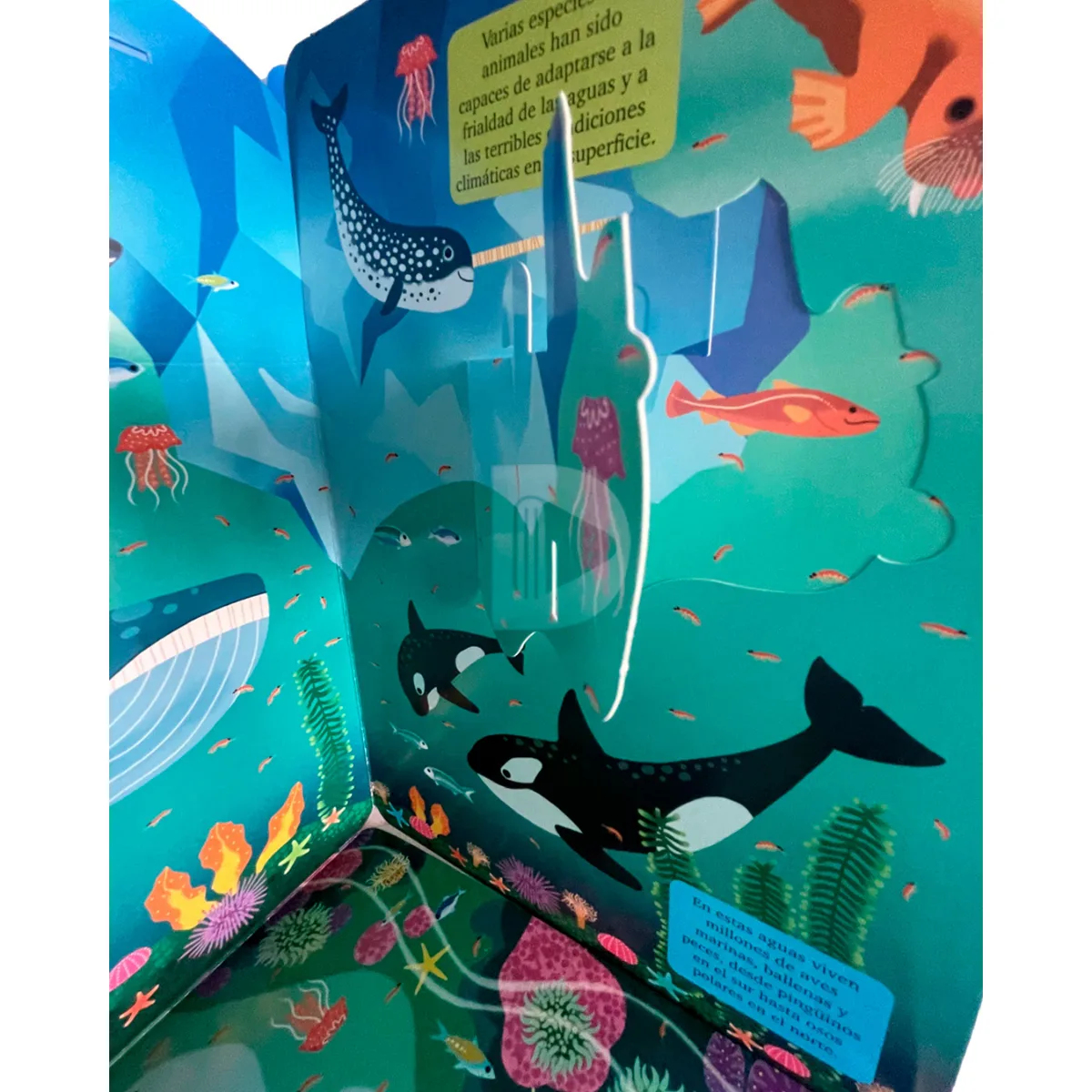 Libro Crea y Juega - Oceano 4