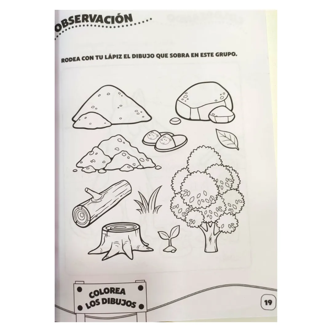 Libro de Actividades 5