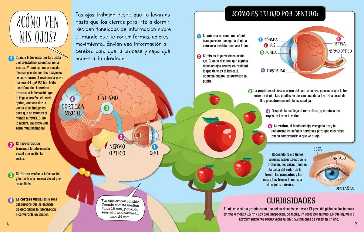 Libro Descubre Como Funciona El Cuerpo Humano 4