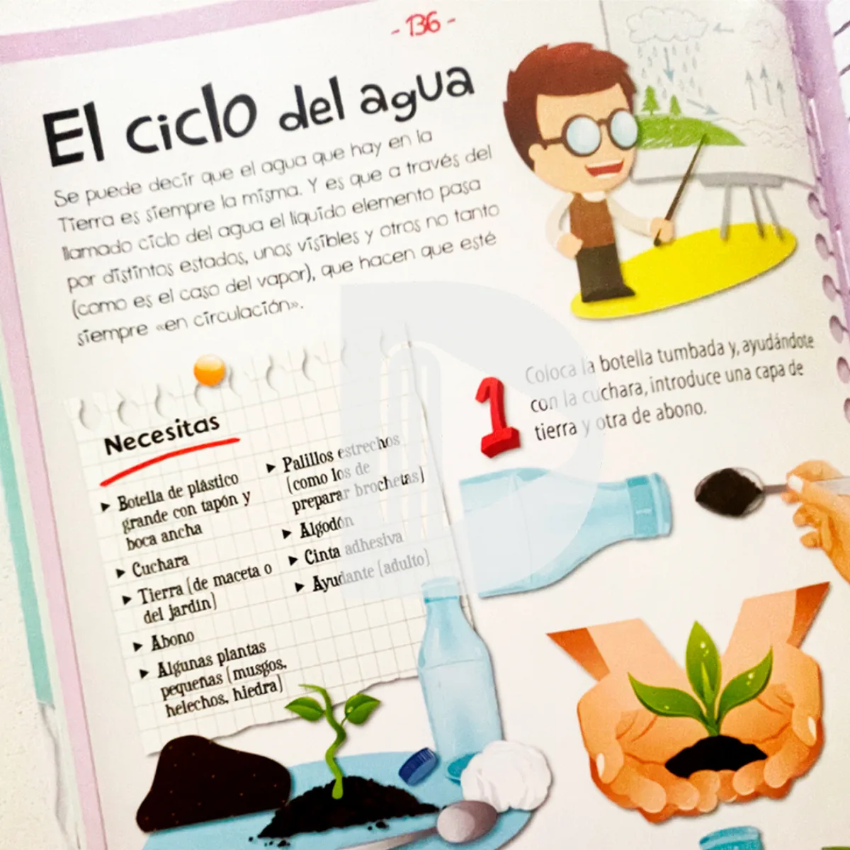 Libro Experimentos para Niños 6