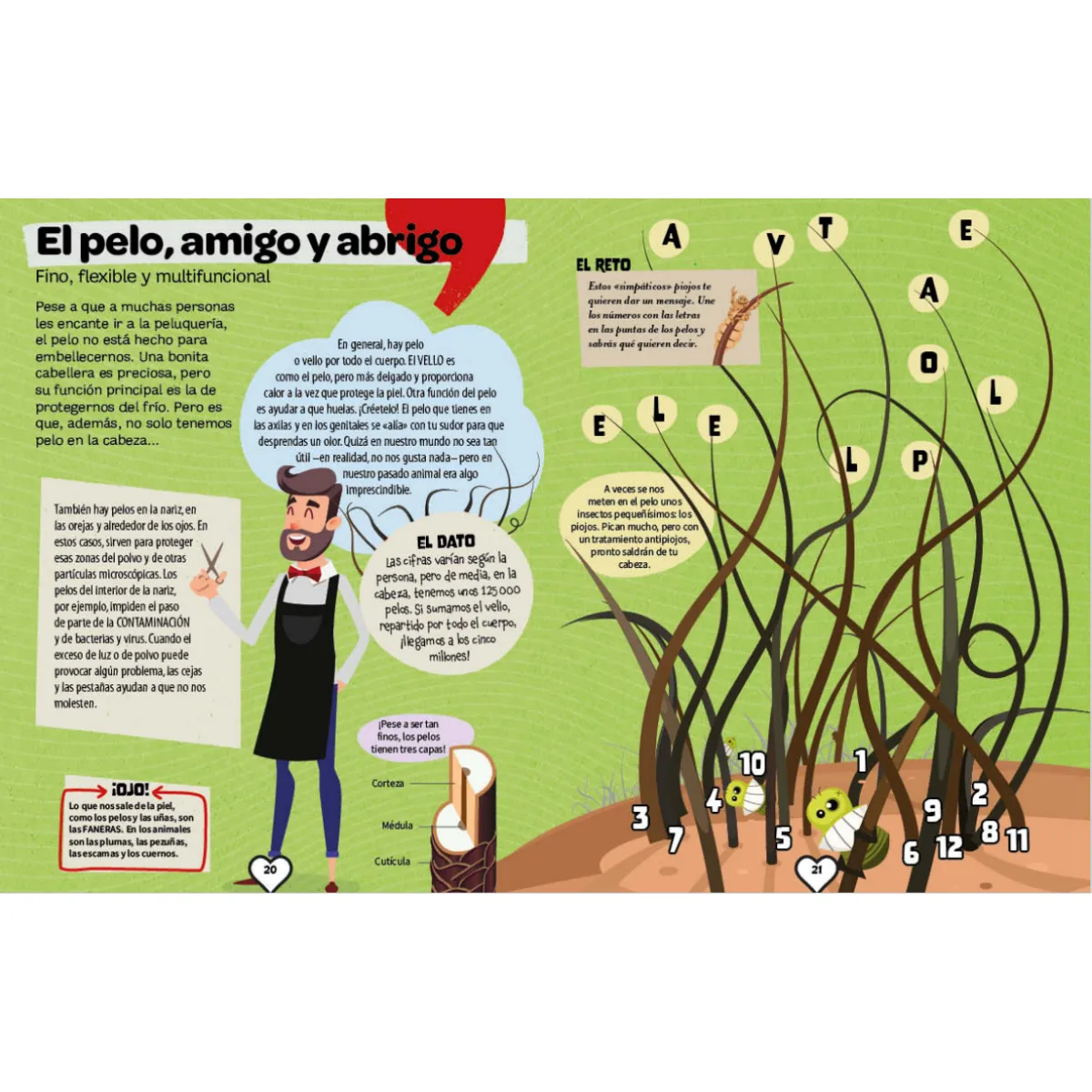 Libro Explora el Cuerpo Humano