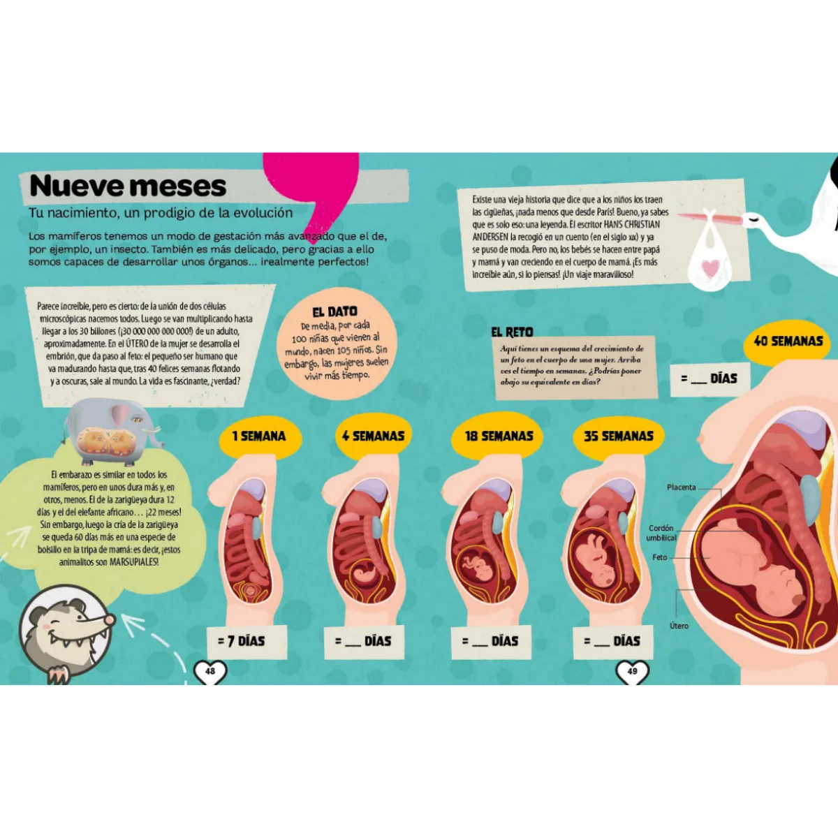 Libro Explora el Cuerpo Humano 3