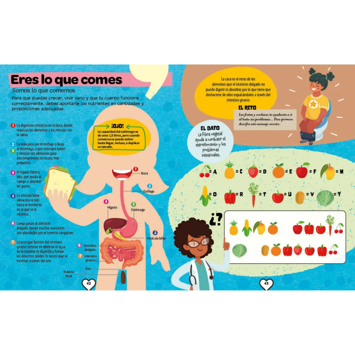 Libro Explora el Cuerpo Humano 6
