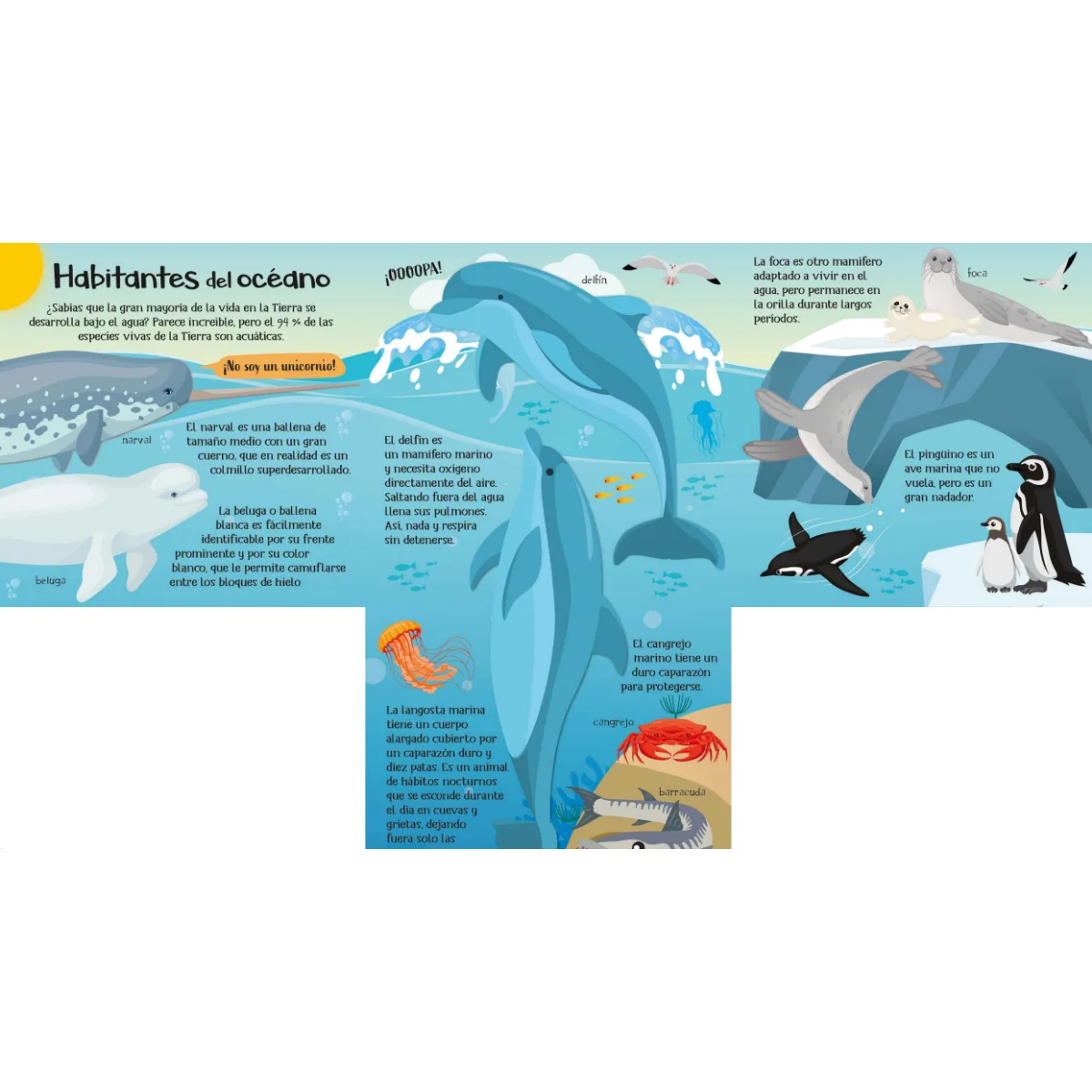 Libro Flaps - Animales del Oceano 2