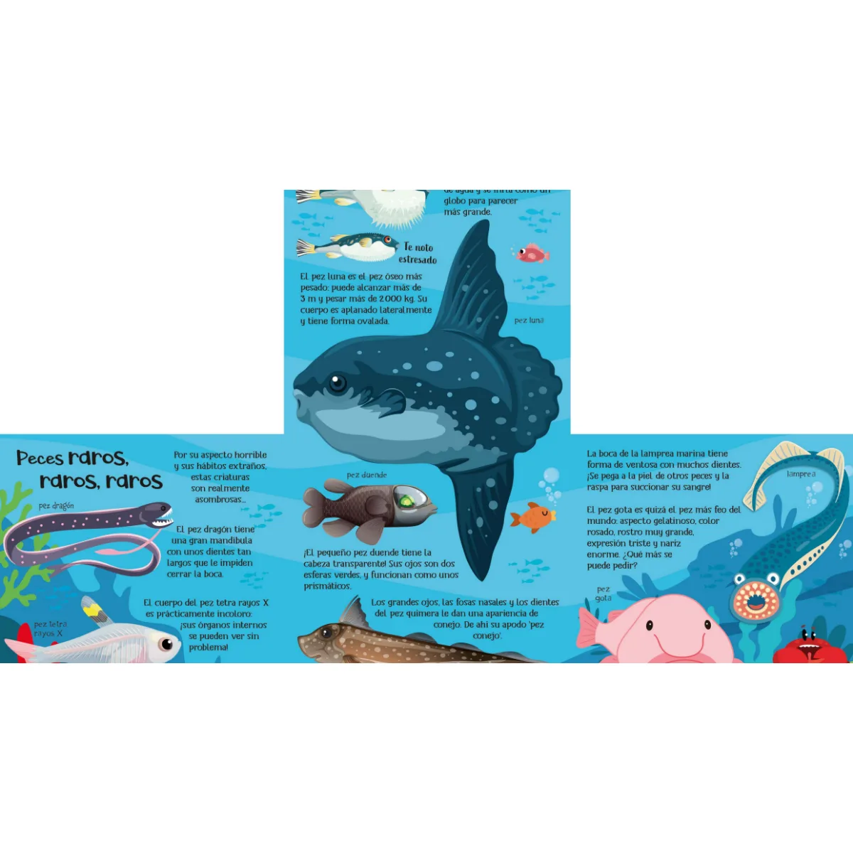Libro Flaps - Animales del Oceano 3