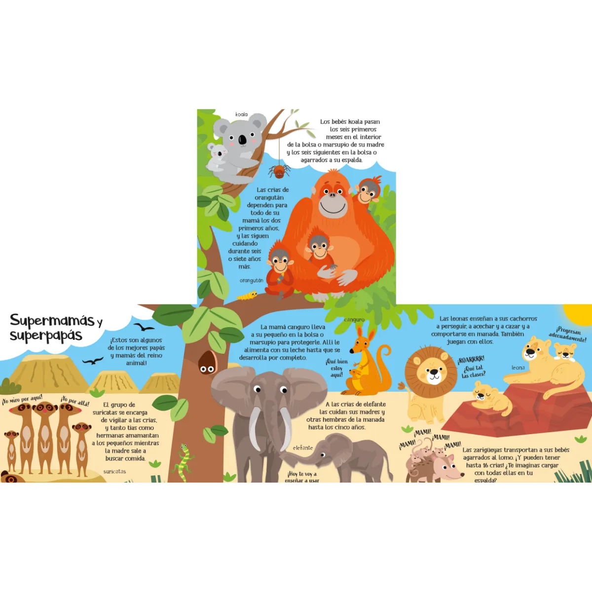 Libro Flaps - Animales Salvajes