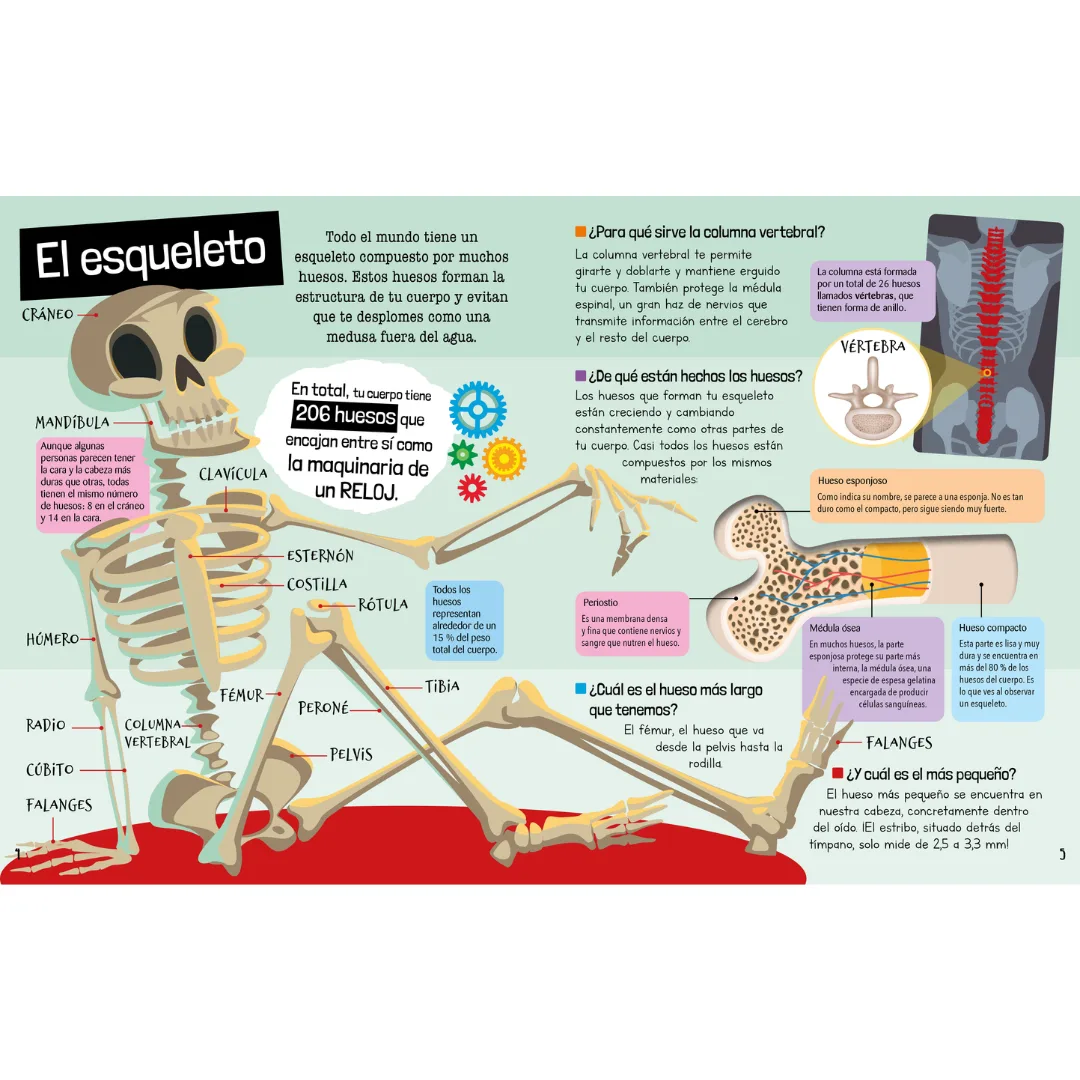 Libro Guia del Cuerpo Humano