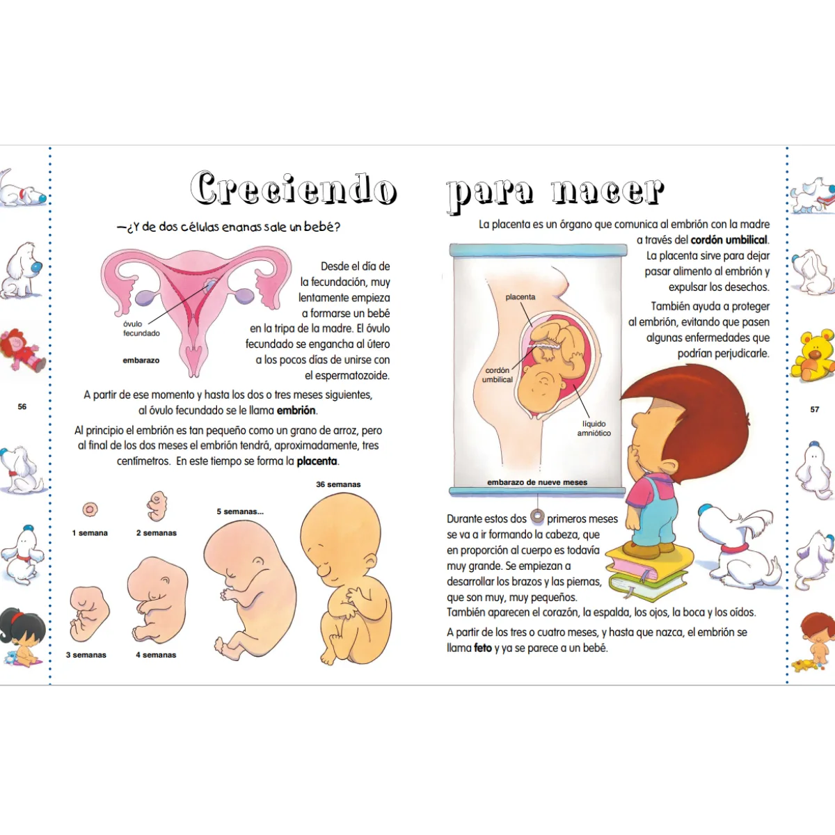 Libro Infantil de Educacion Sexual