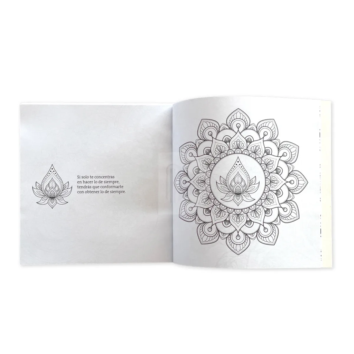 Libro Mandalas para Colorear y Relajarse