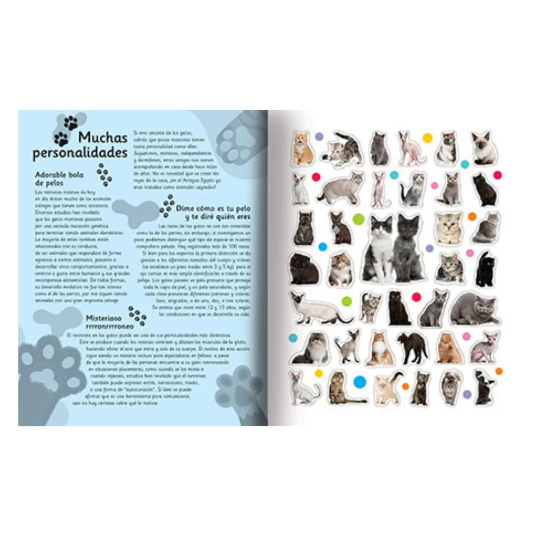 Libro Mundo Animal con Stickers - Gatos