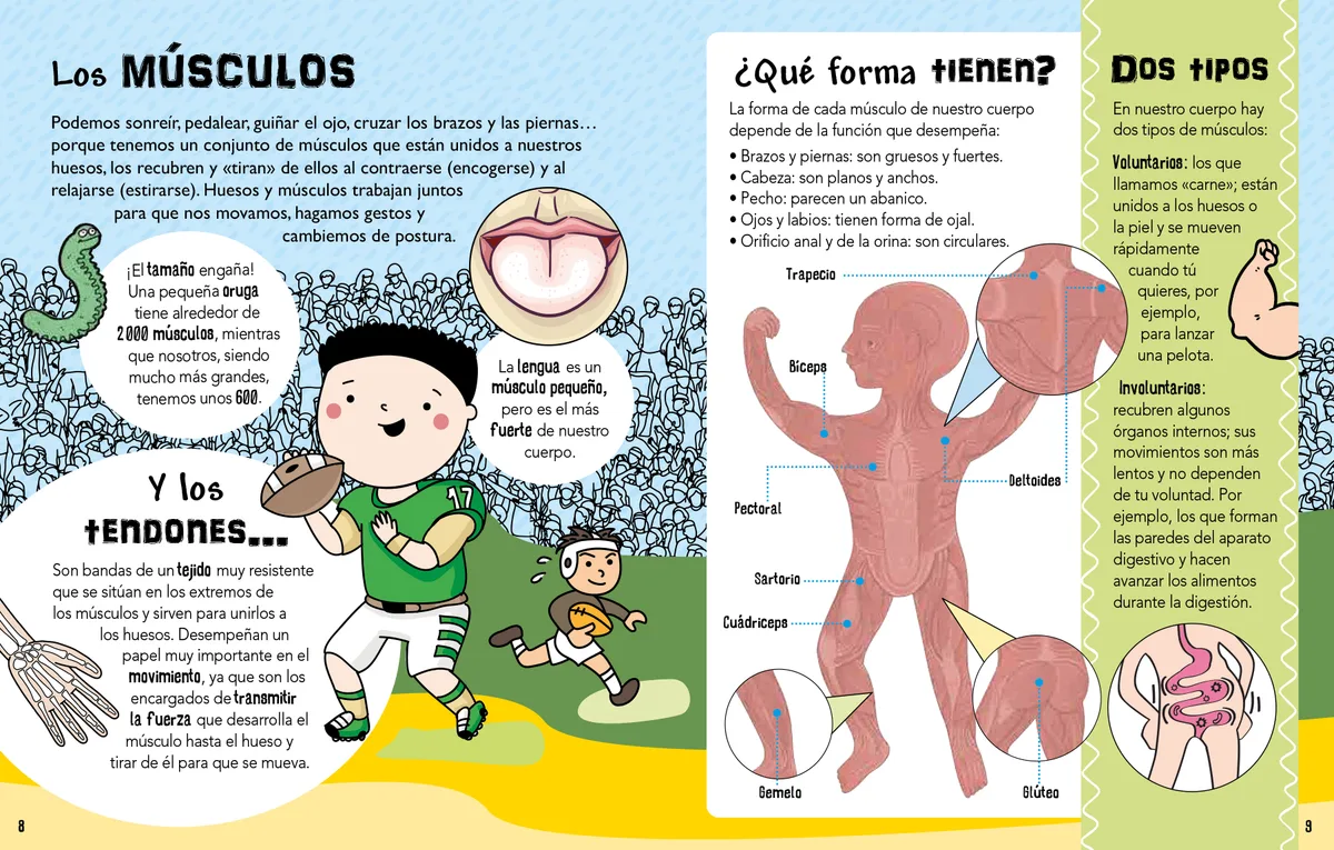 Libro Nuestro Cuerpo Por Dentro Y Por Fuera - Know Conocimiento 4
